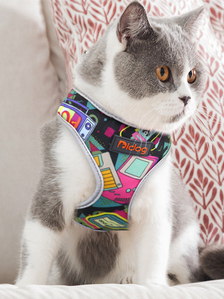 Cat walking cat harness cat leash