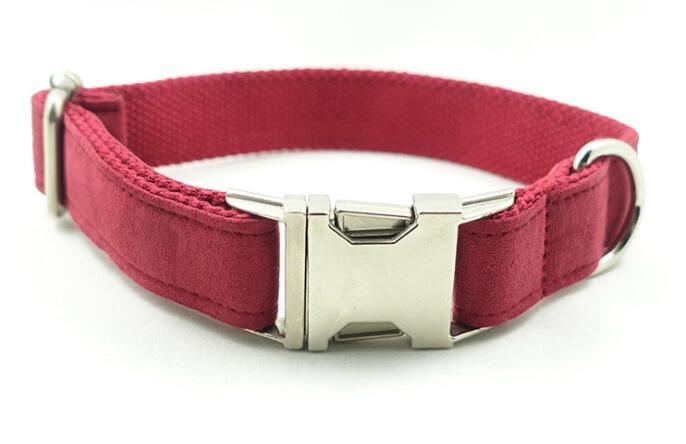 Pet Traction Collar Dog Collar, Bow and Leash