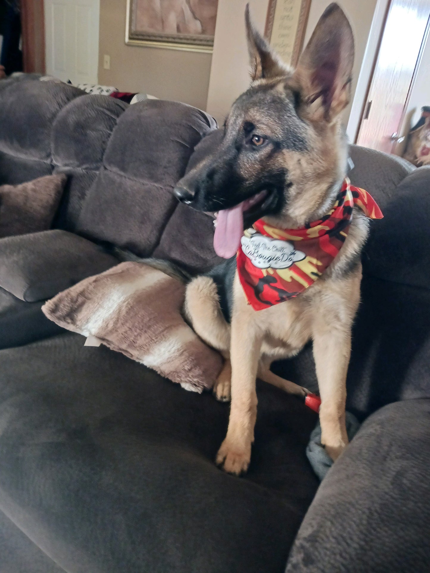 Pet Bandana - Orange Camo CaBougieDo "Feel the Chill"