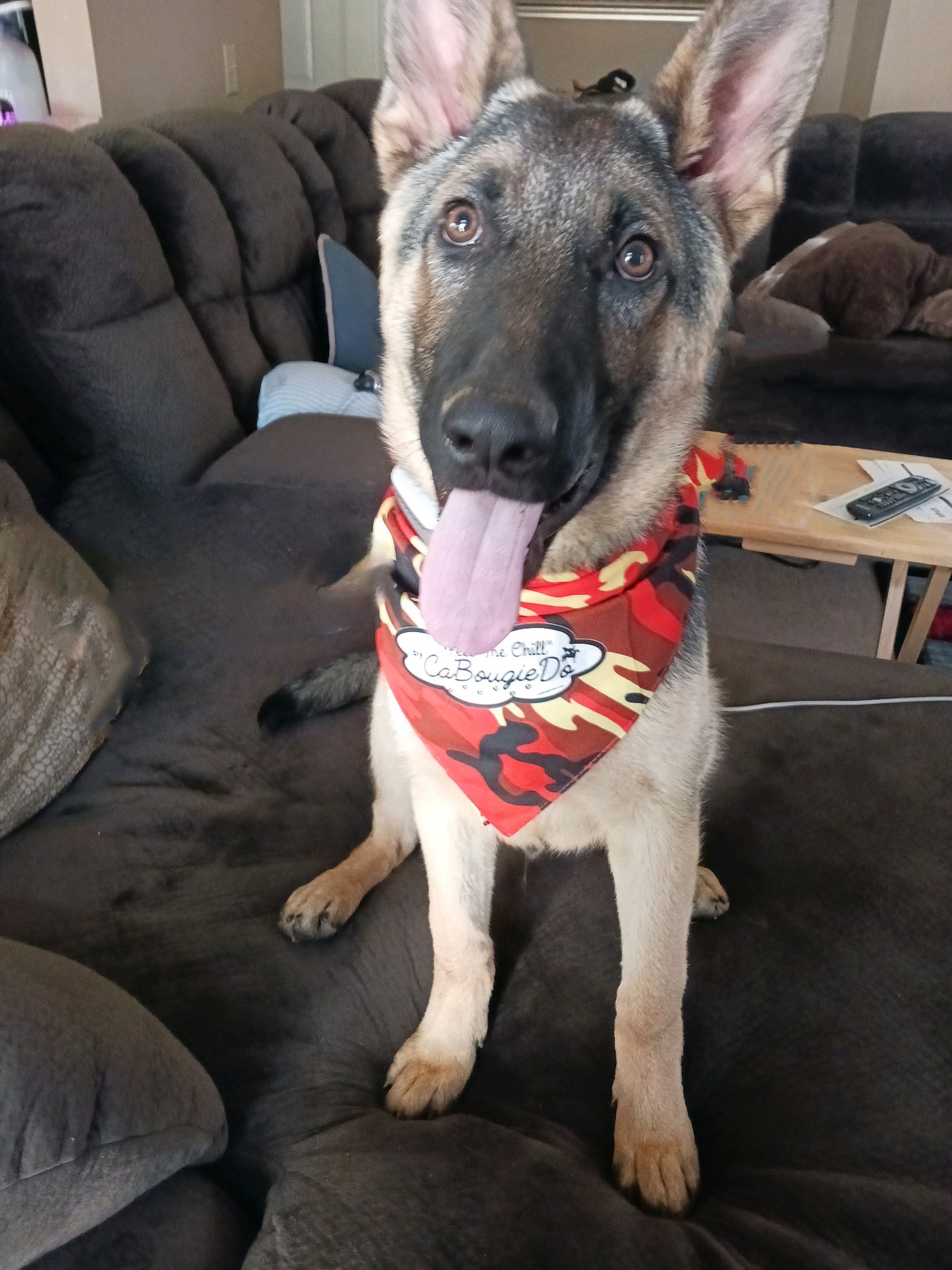 Pet Bandana - Orange Camo CaBougieDo "Feel the Chill"