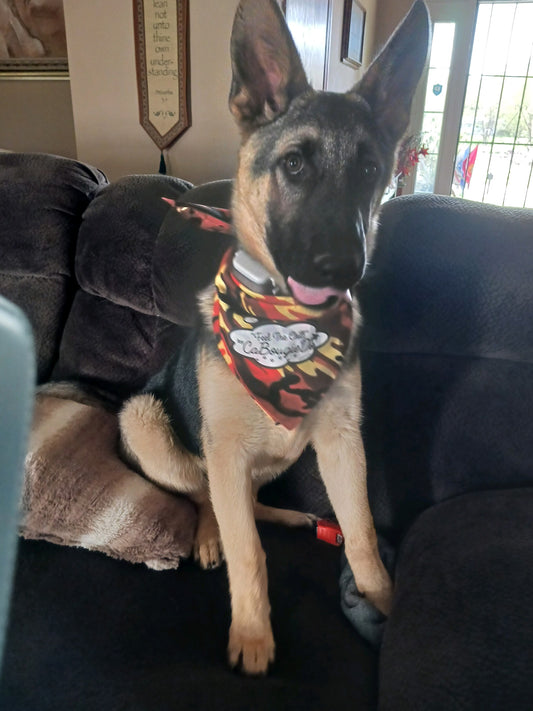 Pet Bandana - Orange Camo CaBougieDo "Feel the Chill"