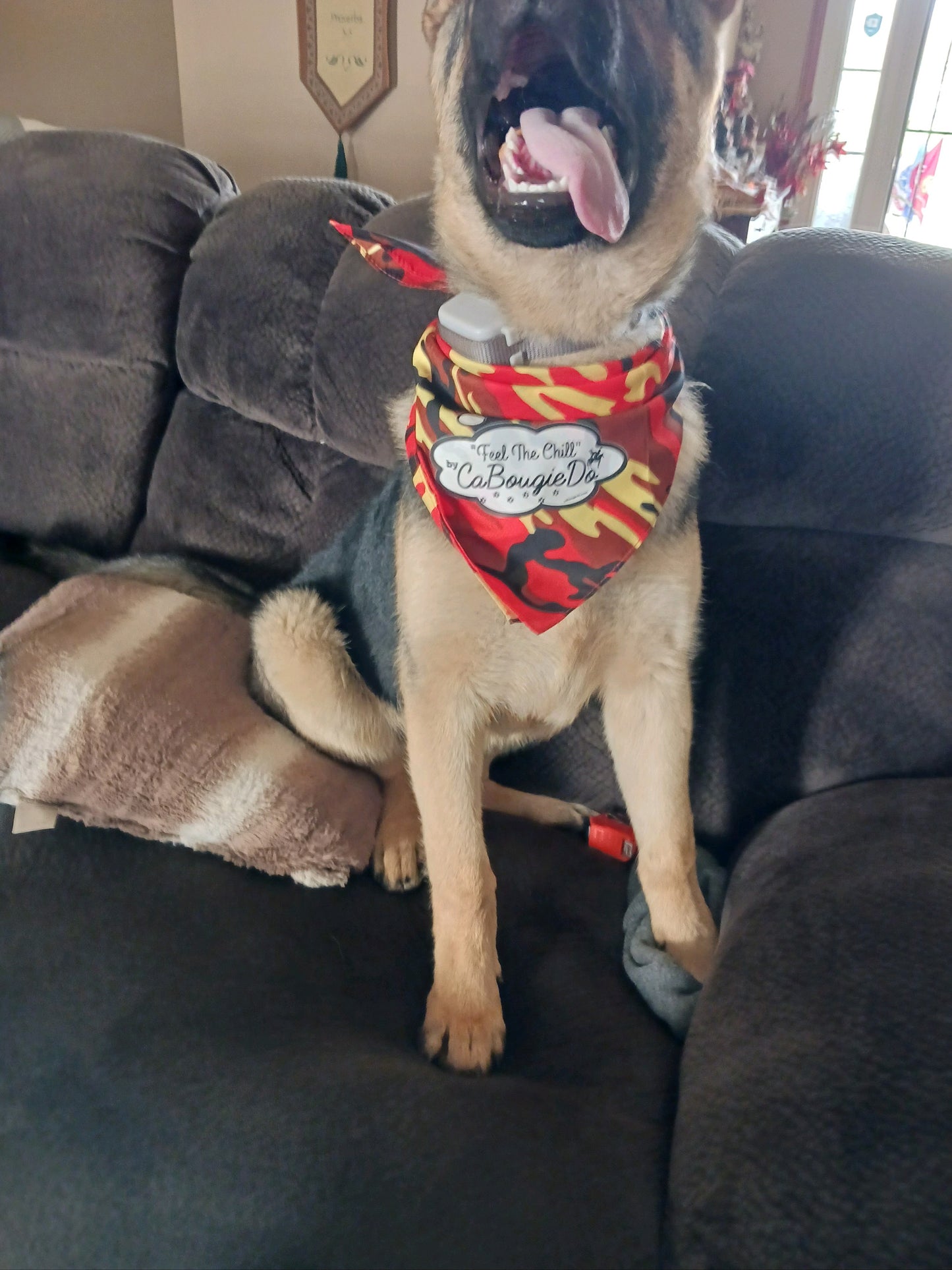 Pet Bandana - Orange Camo CaBougieDo "Feel the Chill"