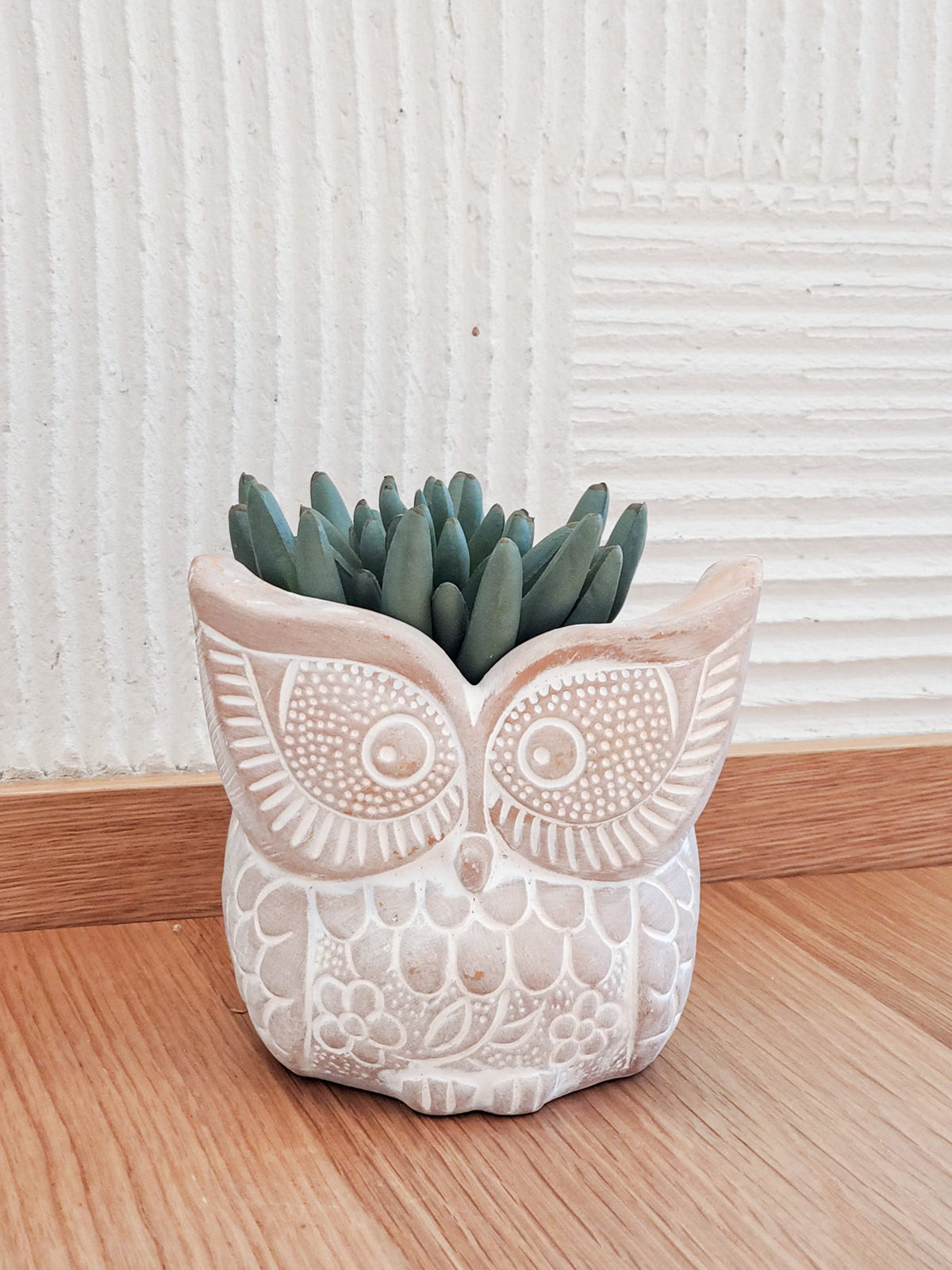 Terracotta Pot - Big Eye Owl