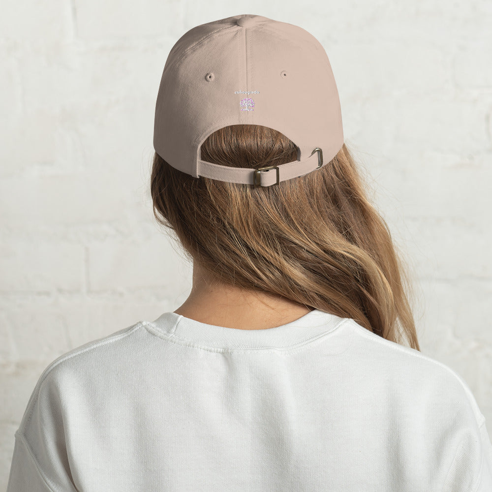 Dad hat - U. S. Space Force Emblem