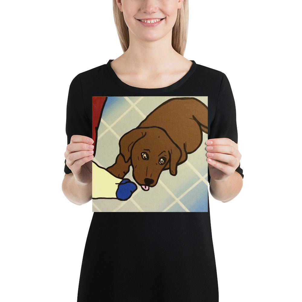 Poster - Chocolate Lab I Want that Sock