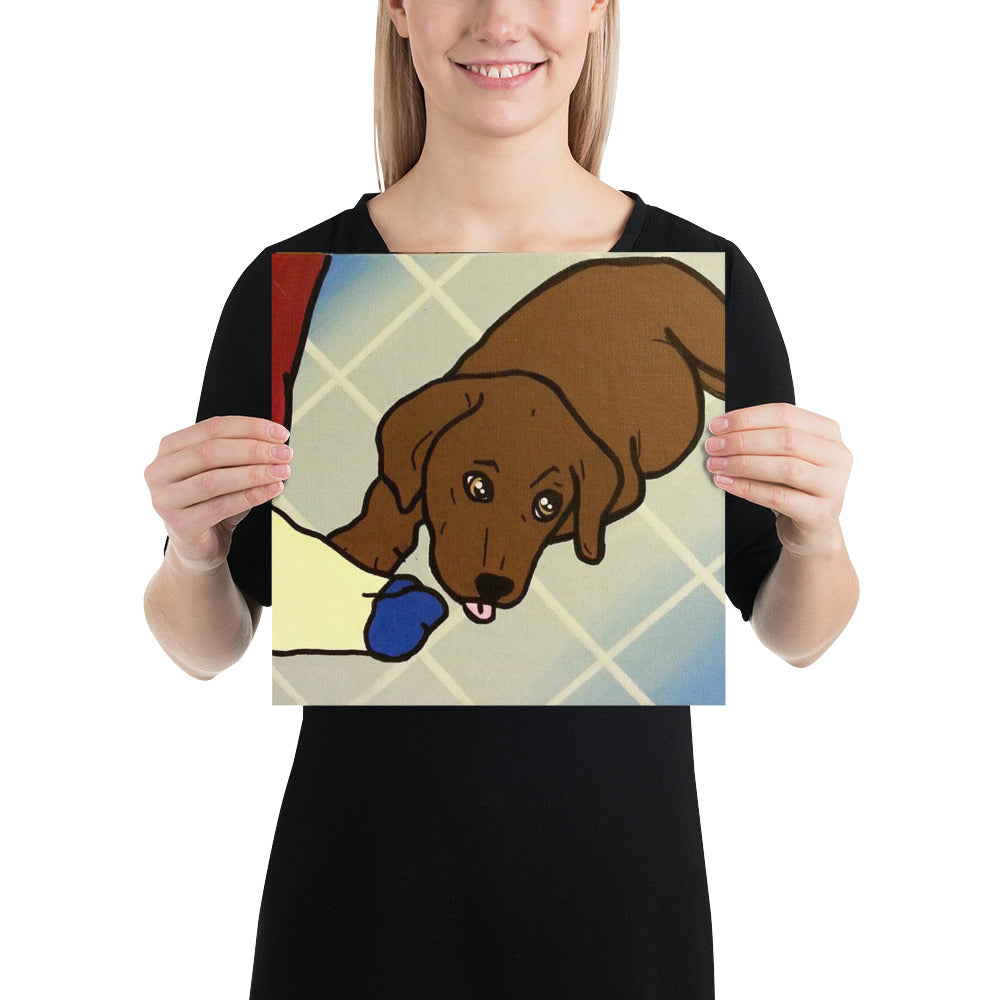 Poster - Chocolate Lab I Want that Sock