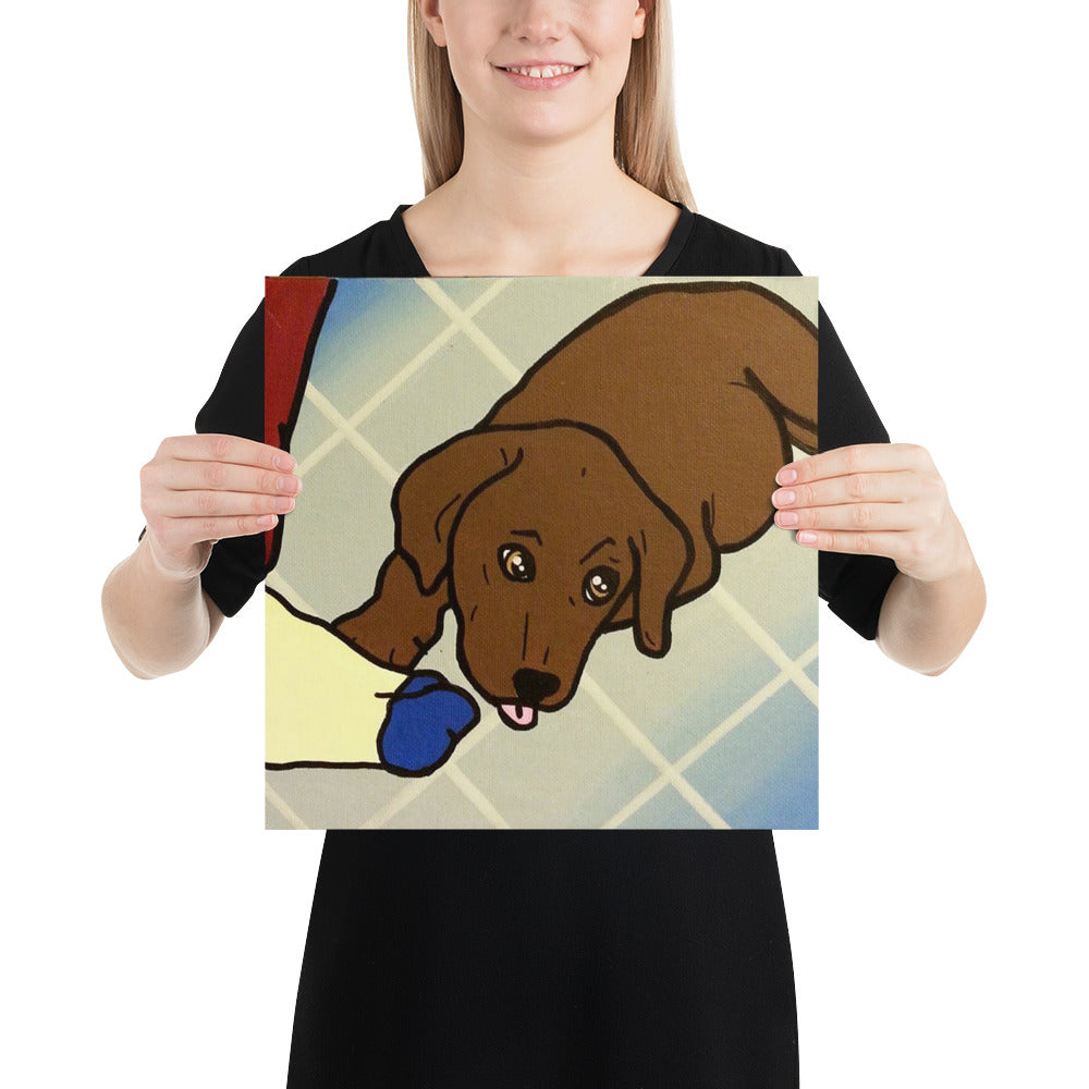 Poster - Chocolate Lab I Want that Sock