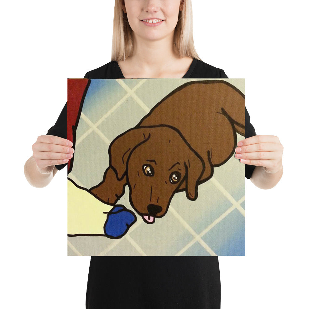 Poster - Chocolate Lab I Want that Sock