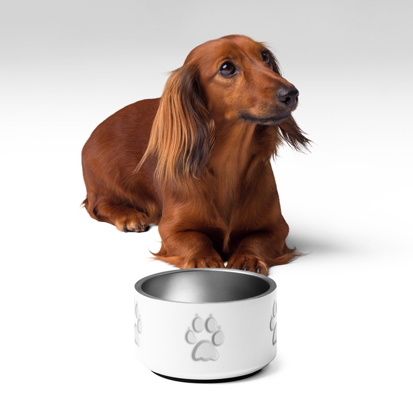 Pet bowl - White Paw