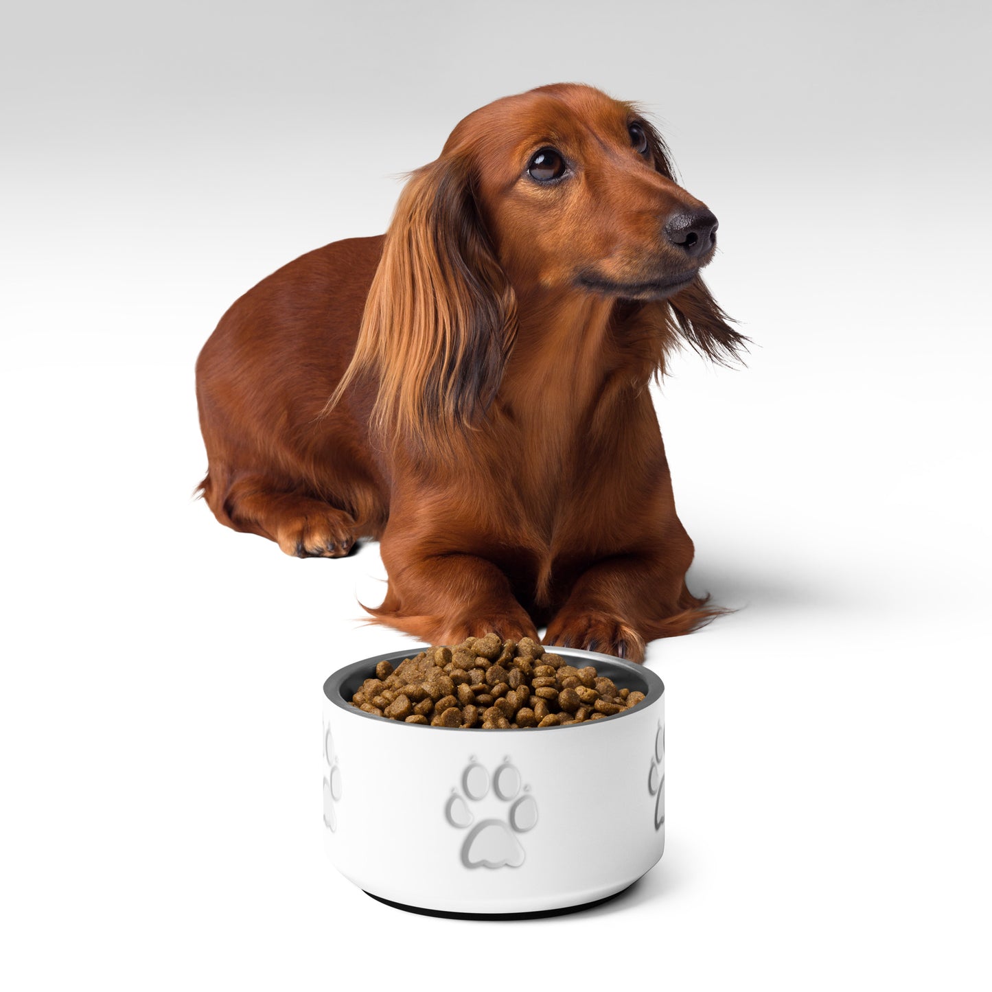 Pet bowl - White Paw