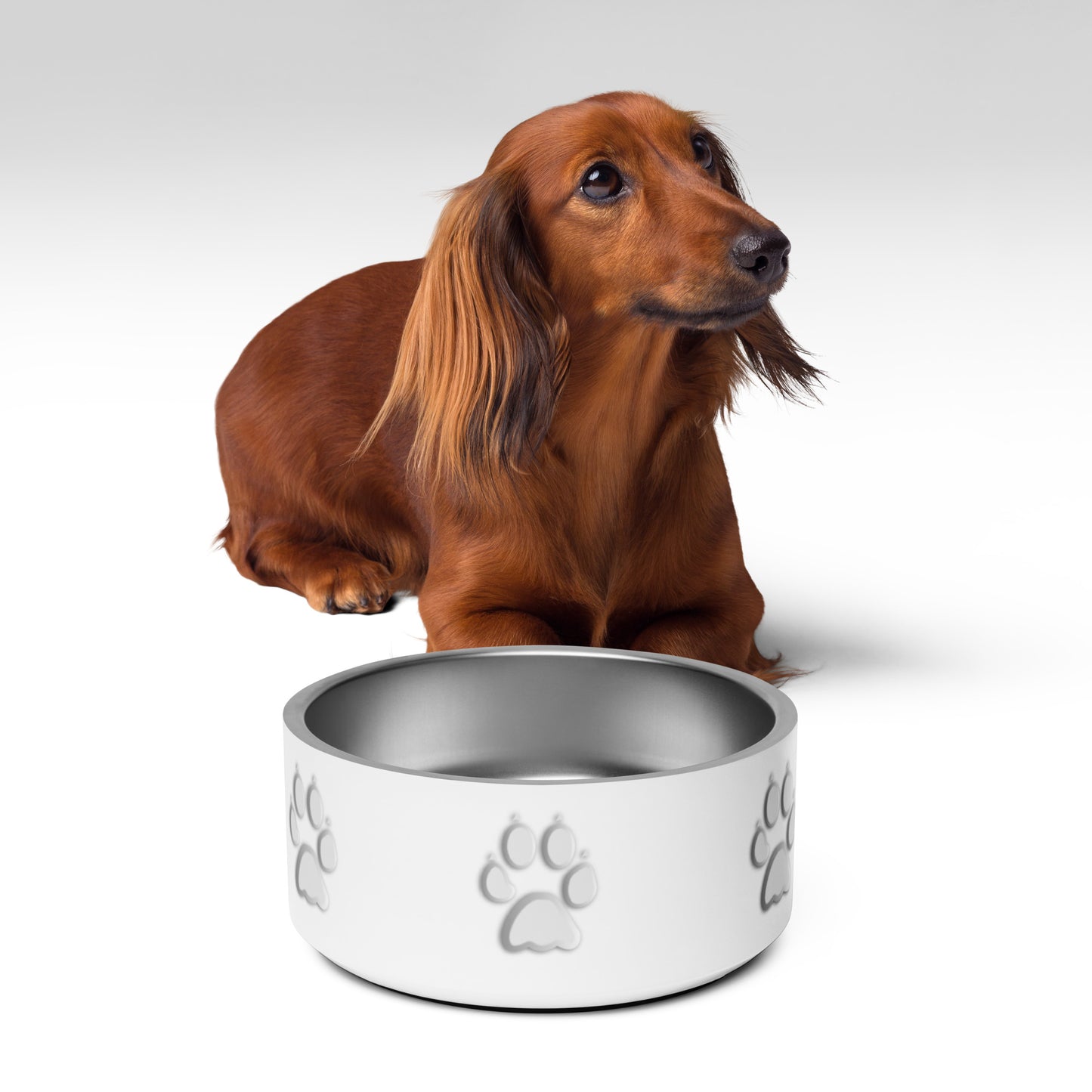 Pet bowl - White Paw