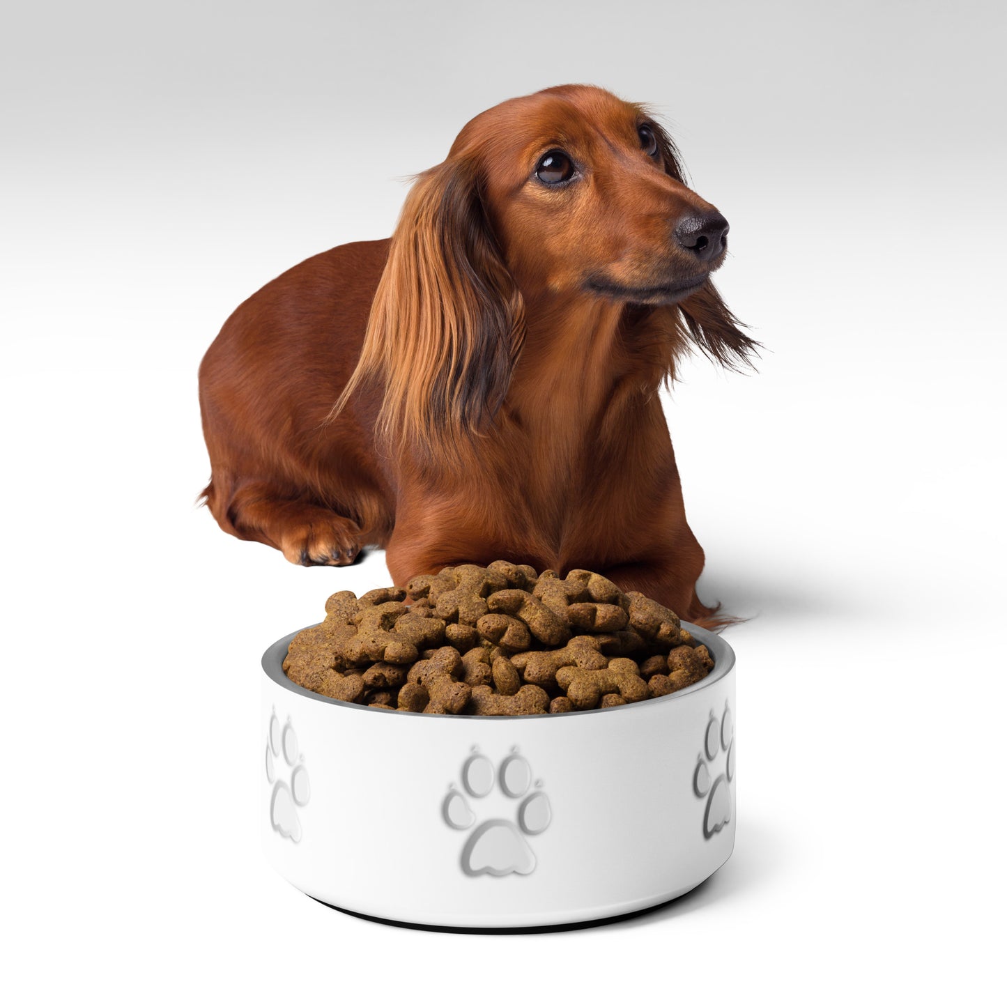 Pet bowl - White Paw