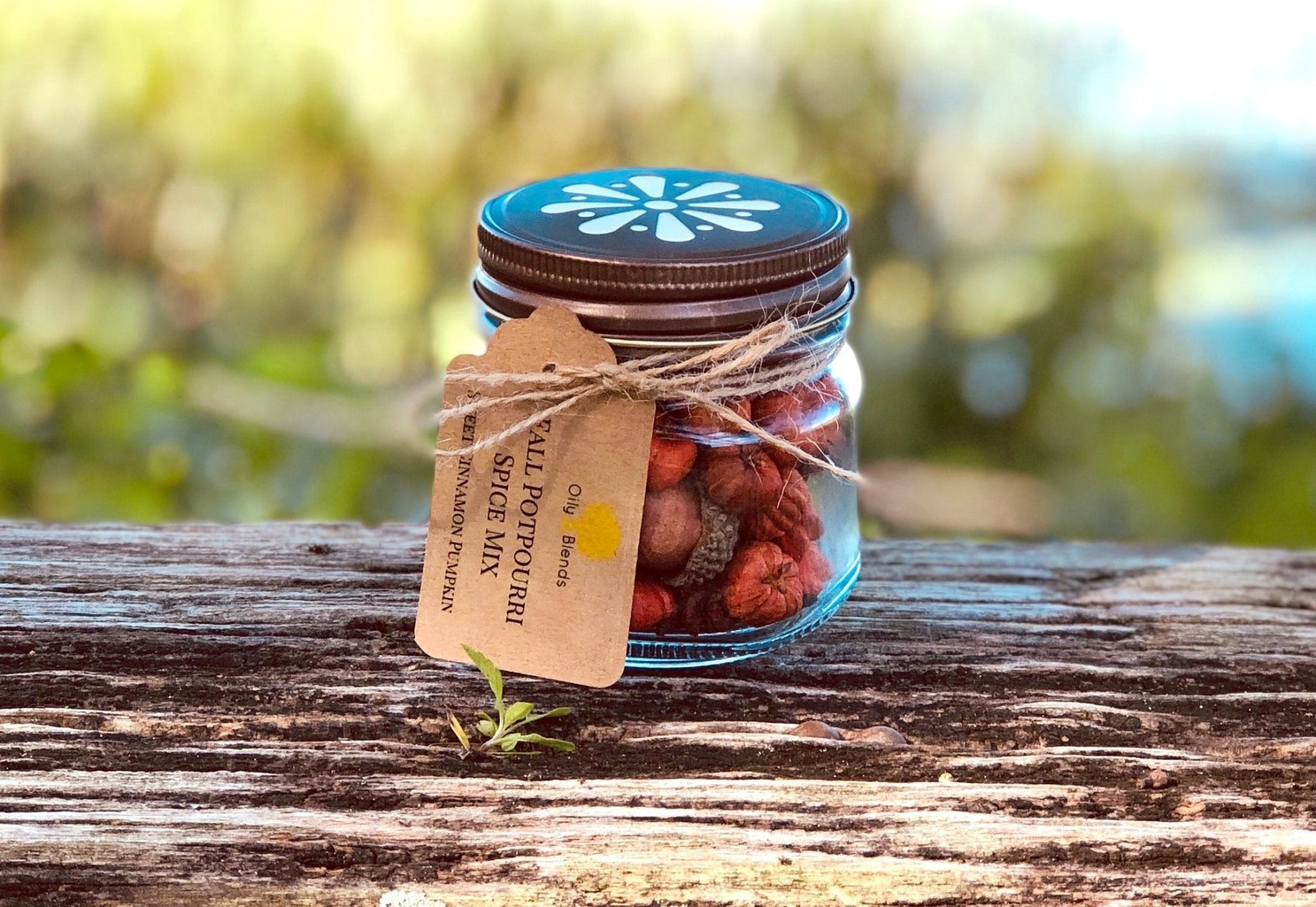 Spiced Pumpkin Mix in Jars - Oily BlendsSpiced Pumpkin Mix in Jars