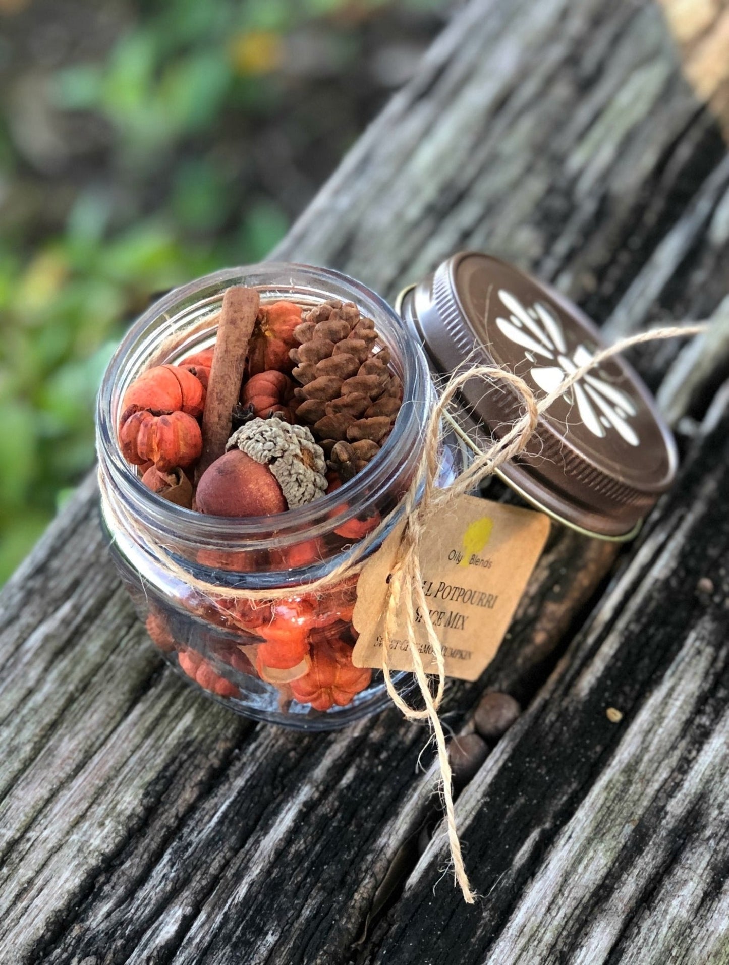 Spiced Pumpkin Mix in Jars - Oily BlendsSpiced Pumpkin Mix in Jars