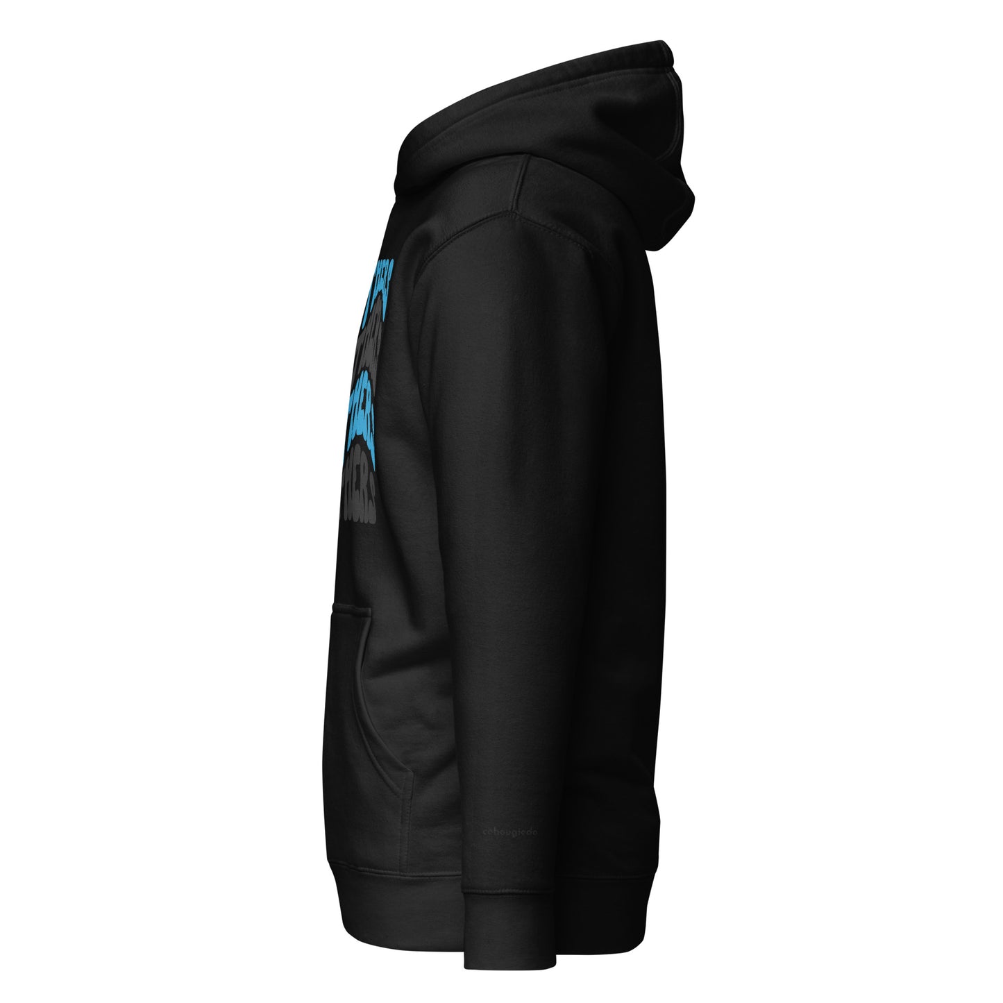 Unisex Hoodie - Panthers Football