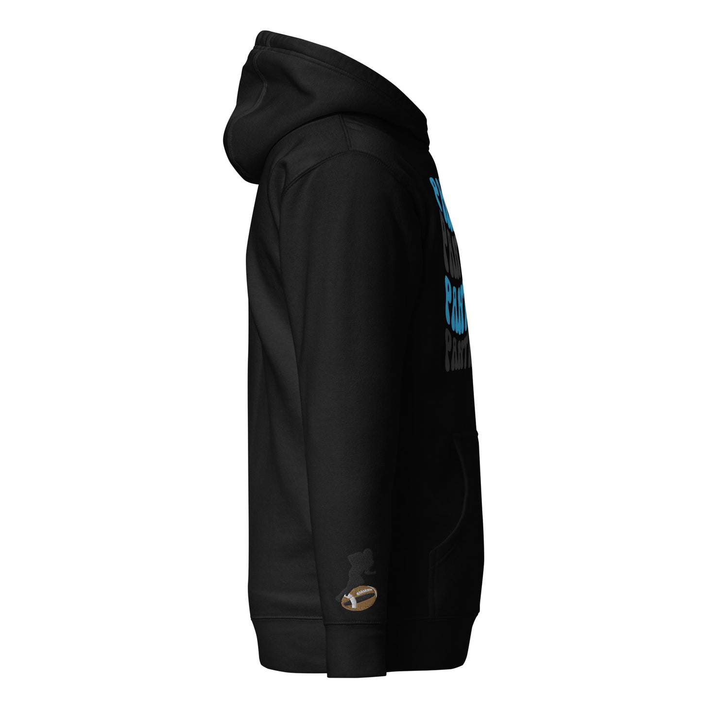 Unisex Hoodie - Panthers Football