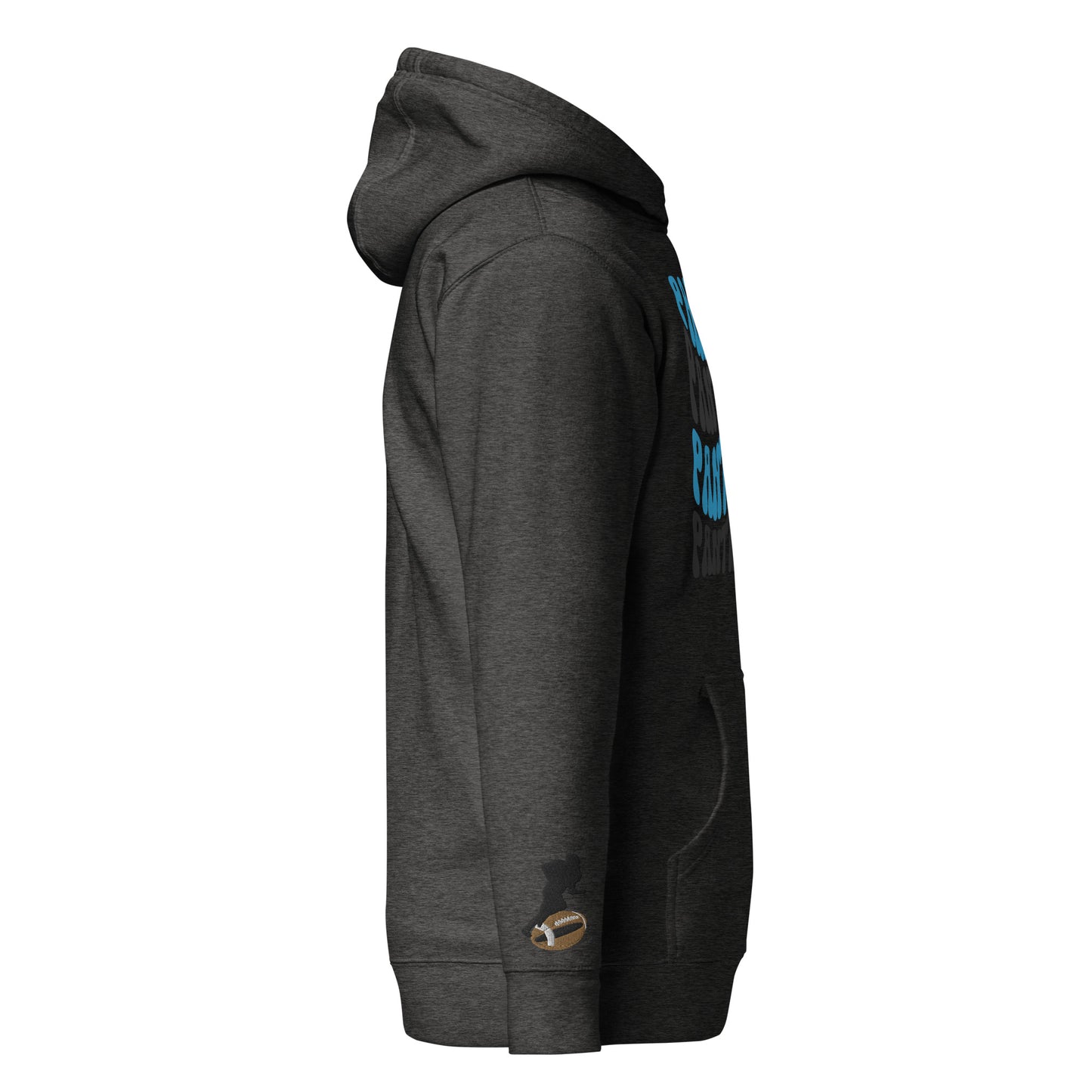 Unisex Hoodie - Panthers Football