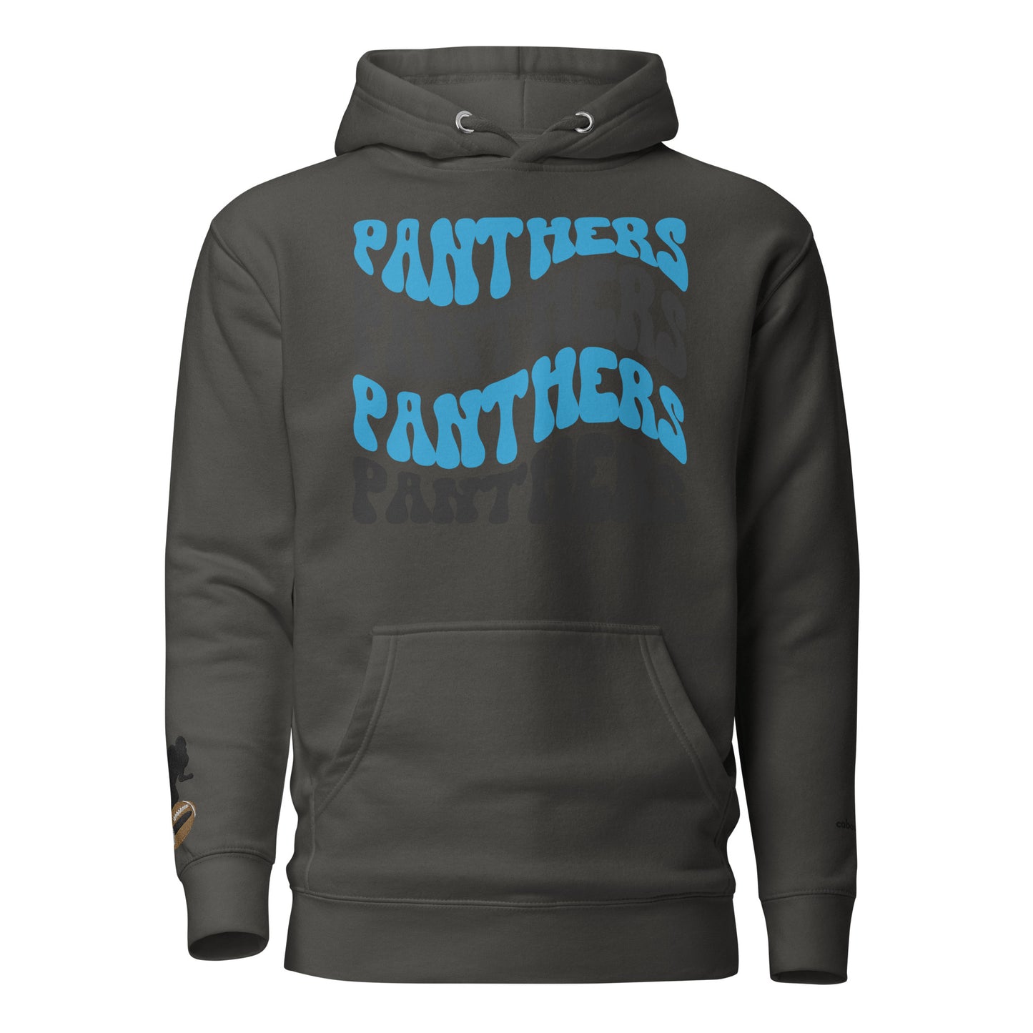 Unisex Hoodie - Panthers Football