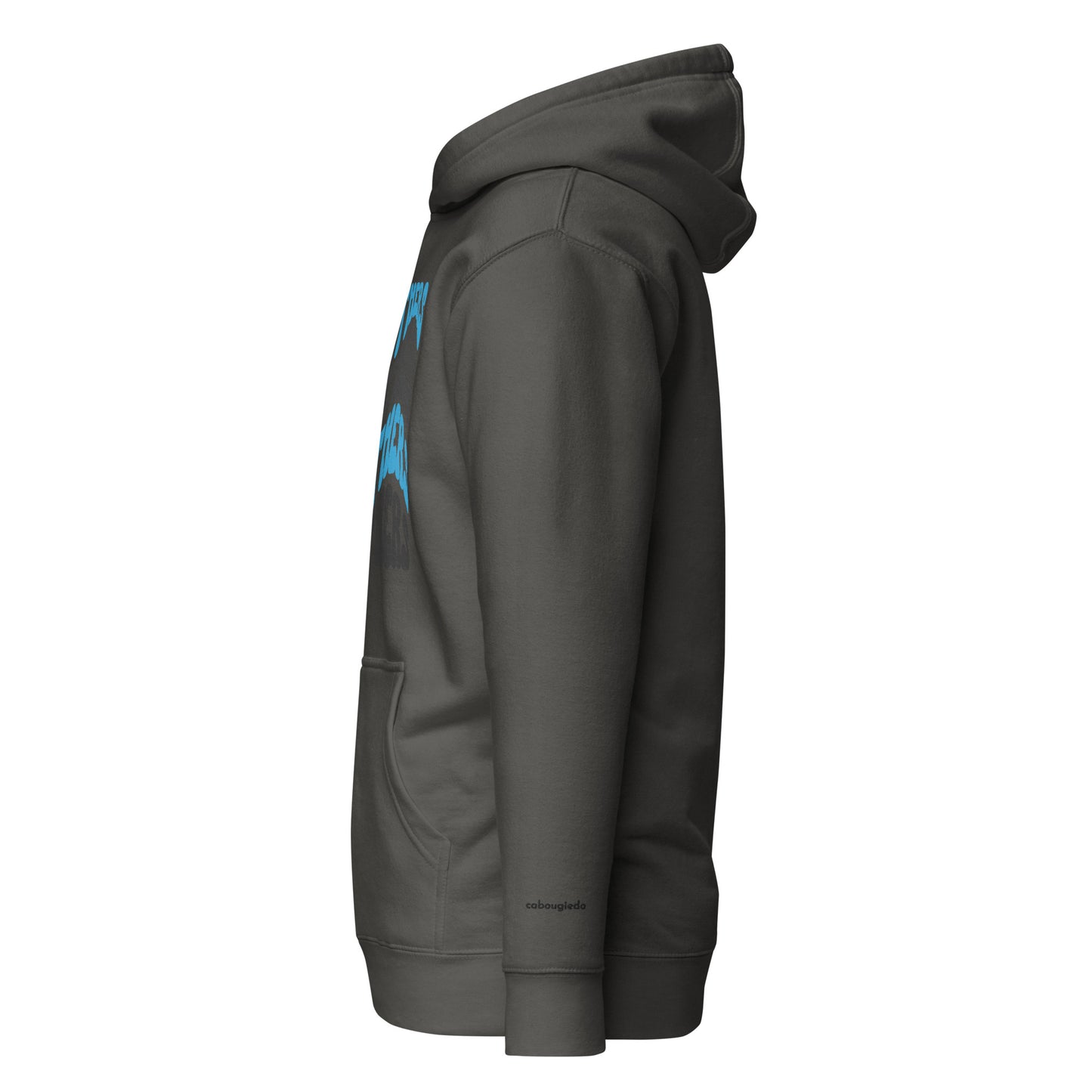 Unisex Hoodie - Panthers Football