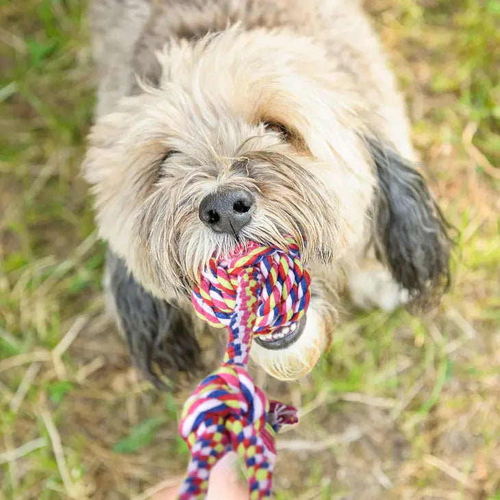 Dog Rope Toys Dog Chew Toys Dog Toy Set