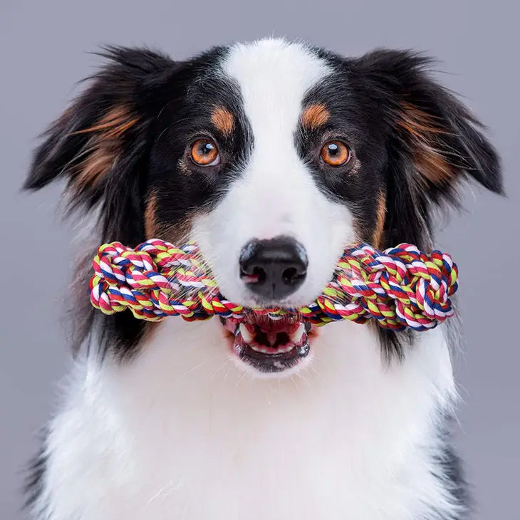 Dog Rope Toys Dog Chew Toys Dog Toy Set