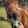 HEAL: CBD OIL FOR HORSES 10000mg Full Spectrum CBD